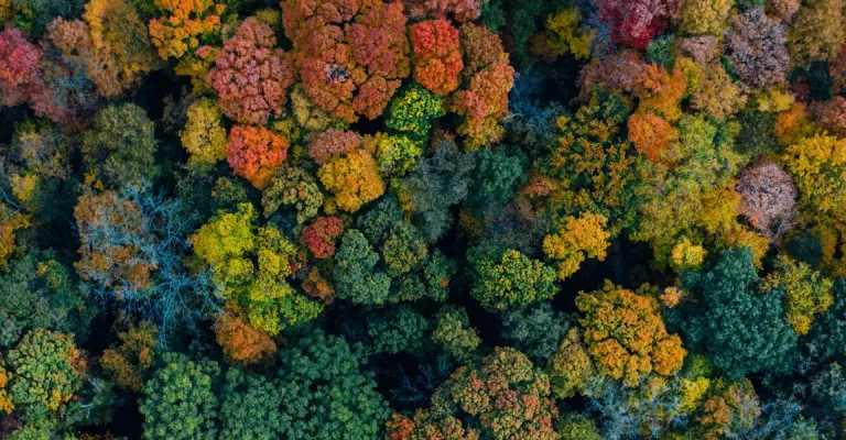 Imagen de fondo del header Fondo del header