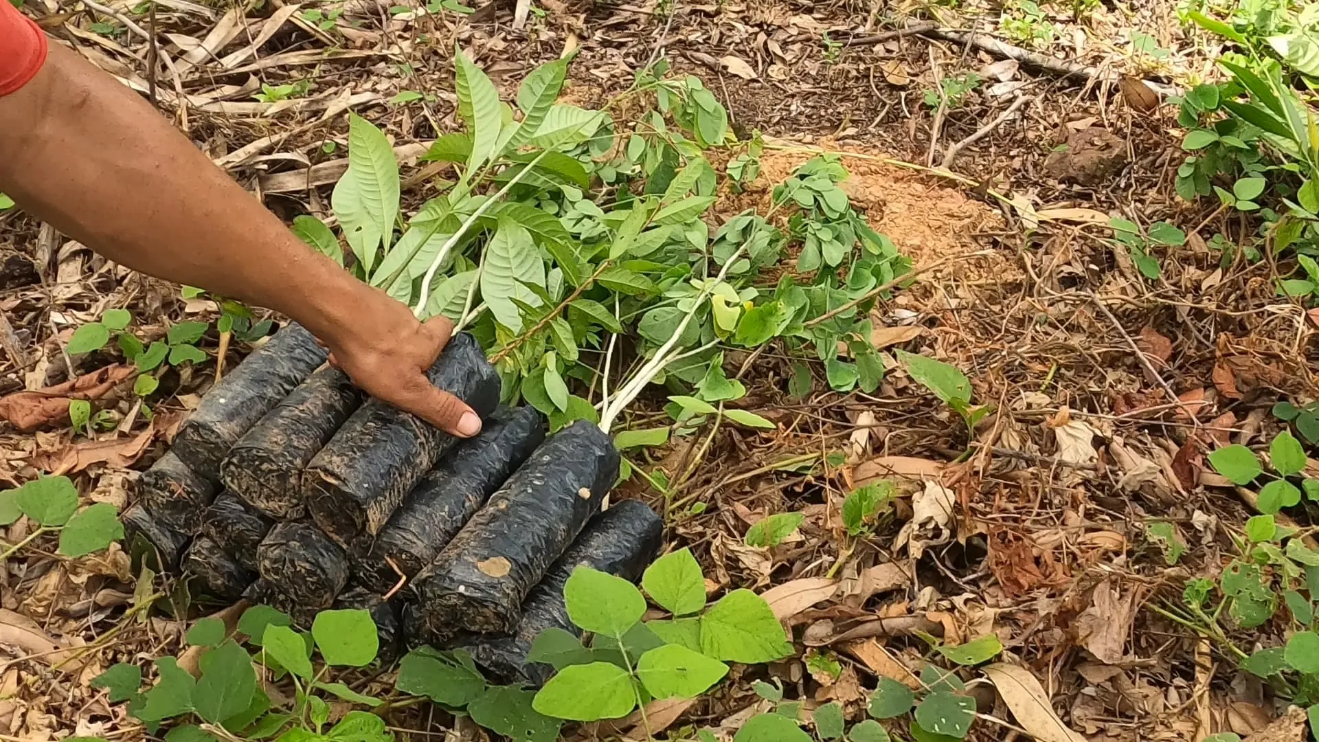 Galería imagen número 12