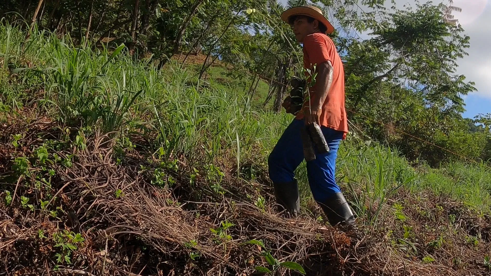 Galería imagen número 14