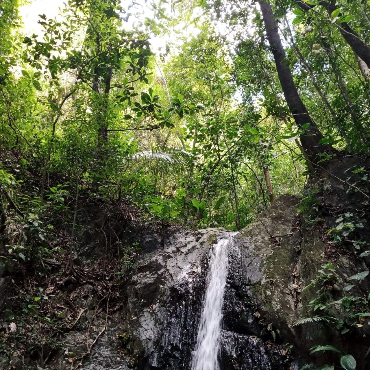 Galería imagen número 16