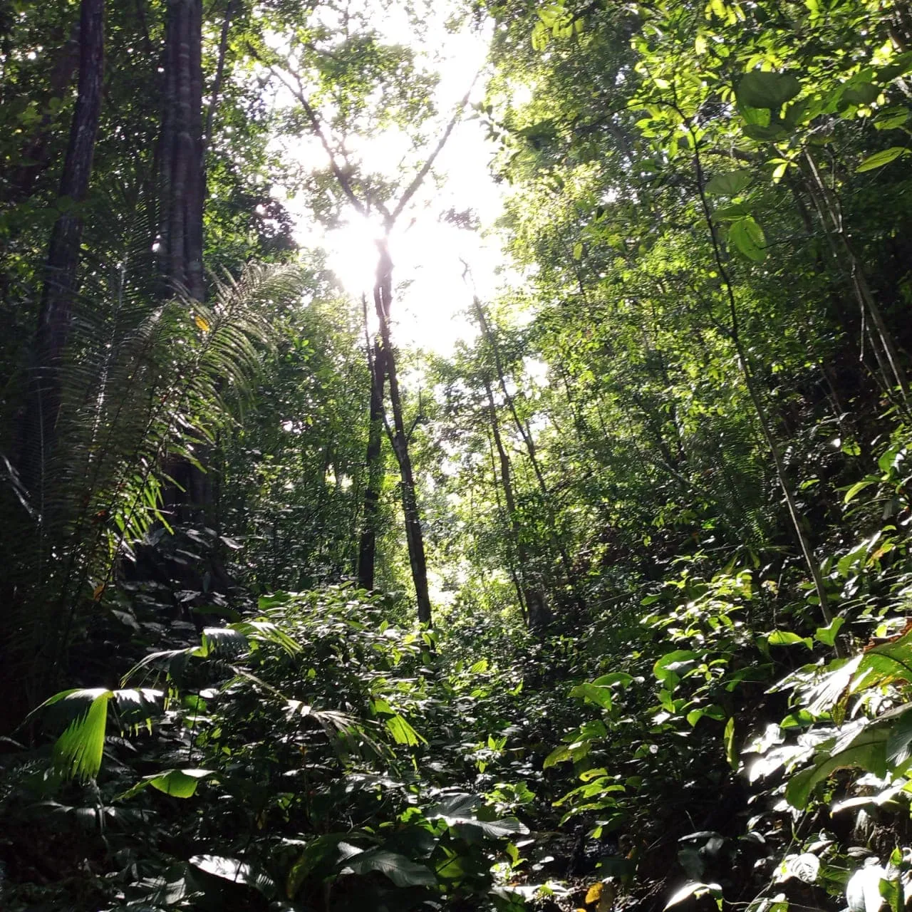 Galería imagen número 4