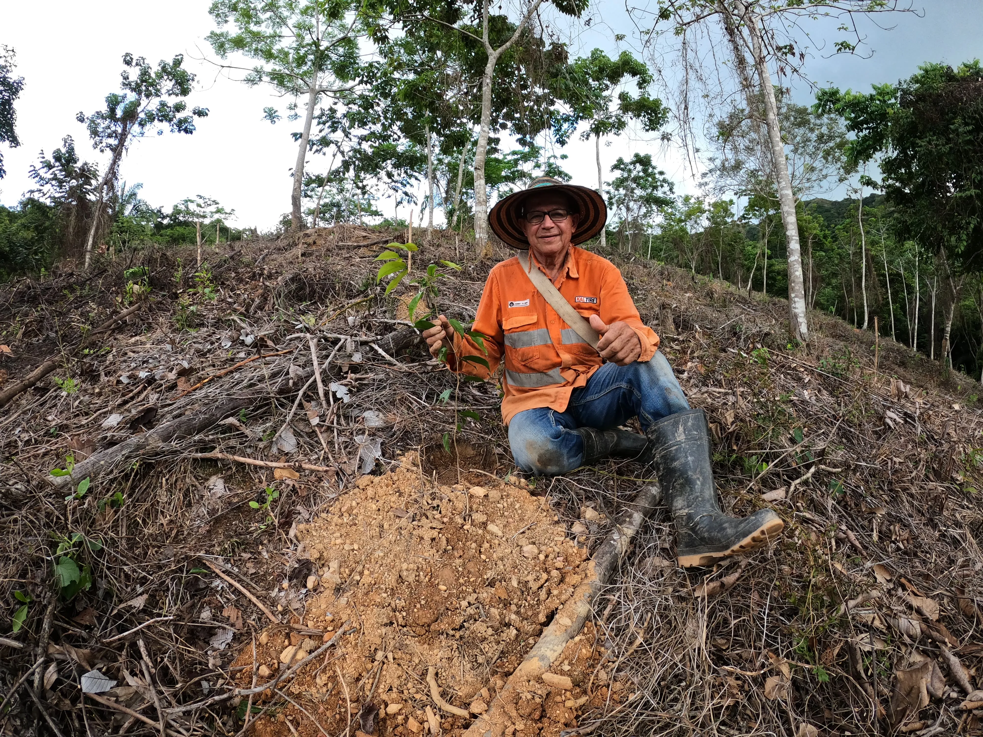 Galería imagen número 6